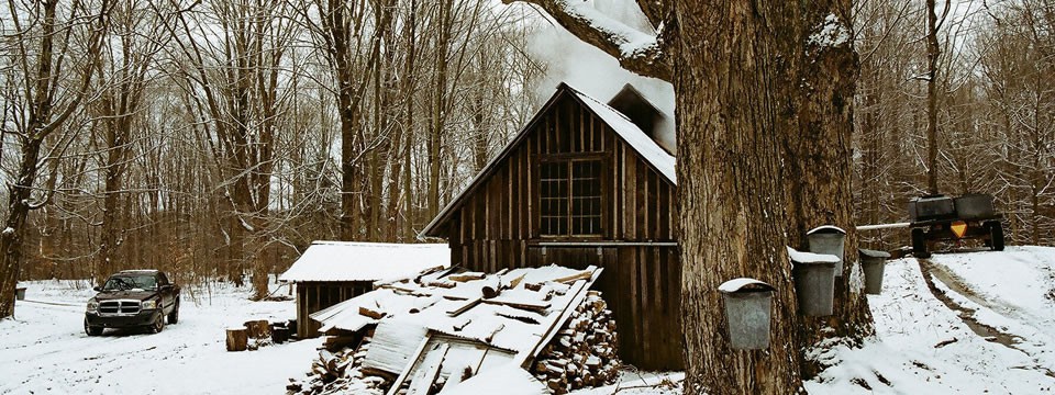 The Miracle of Maple Syrup